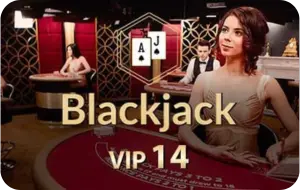 Blackjack vip 14